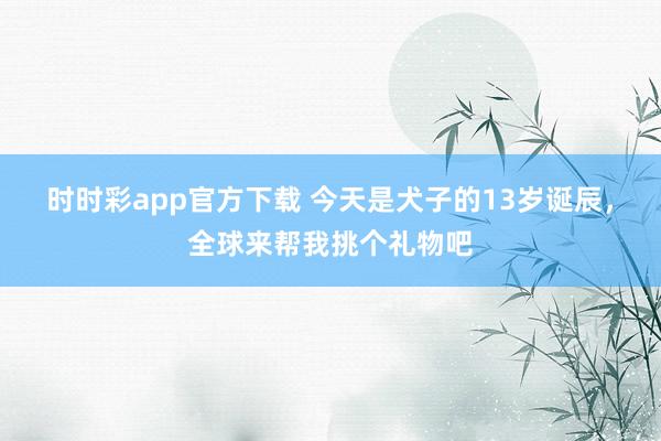 时时彩app官方下载 今天是犬子的13岁诞辰，全球来帮我挑个礼物吧